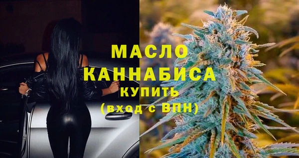 гашик Верея