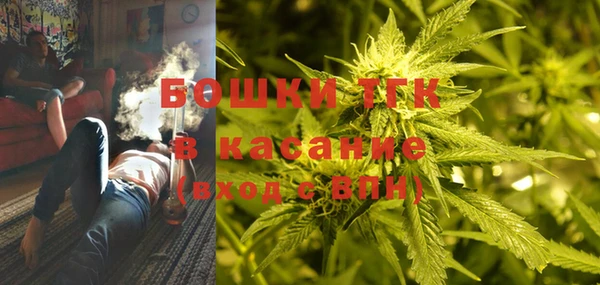 гашик Верея