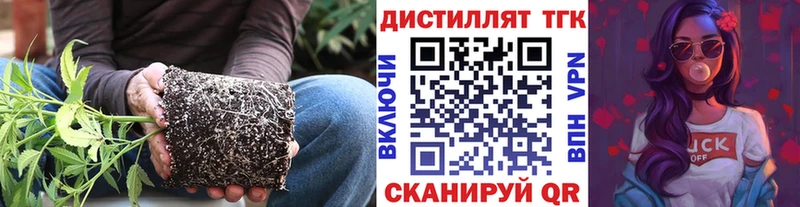Дистиллят ТГК Wax  Курильск 