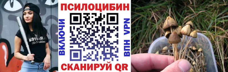 Галлюциногенные грибы Magic Shrooms Курильск