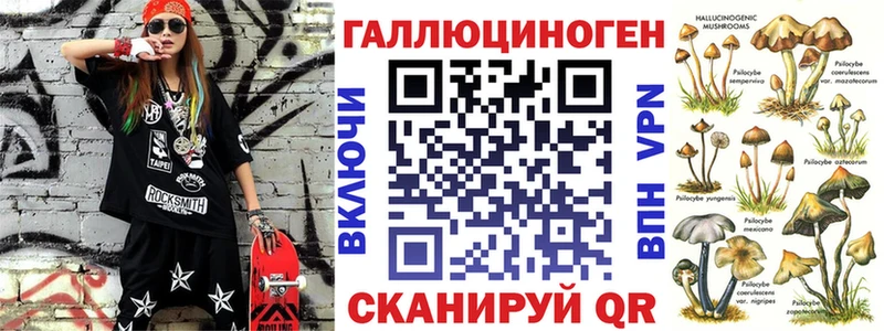 Псилоцибиновые грибы Psilocybe Курильск