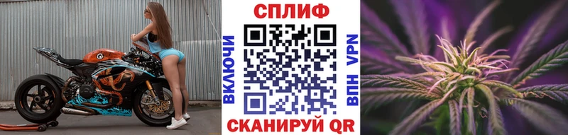 Марихуана план  Курильск 